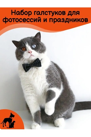 Tevdı Köpekler Ve Kediler İçin Papyonlu Klasik Kravat Seti - Aksesuar 153054584