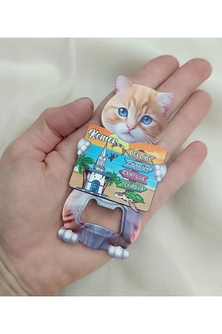 Magnet Açacak Gazoz Şişe Açacağı Mıknatıslı Buzdolabı Süsü Kaplumbağa Kule Çok Renkli