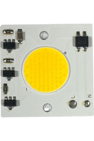 220Volt 30 Watt Cob Led 30W Projektör Ledi Ray Spot Ledi Gün Işığ