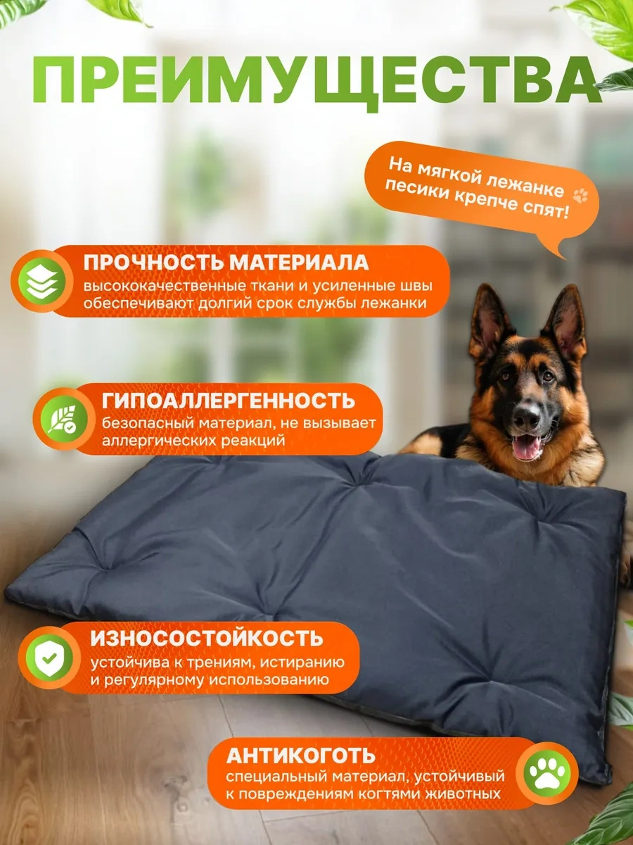 Gurenkot Köpek Yatağı 250338476