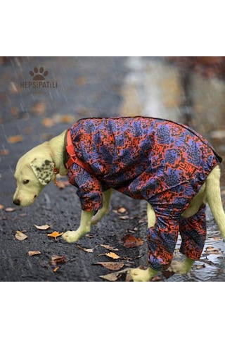Alphadog Wild Polarlı Orta-büyük Irk Köpek Yağmurluk Tulumu