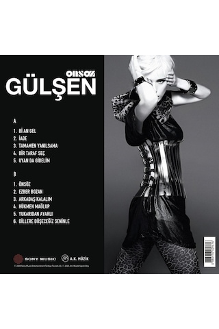 Gülşen - Önsöz Plak