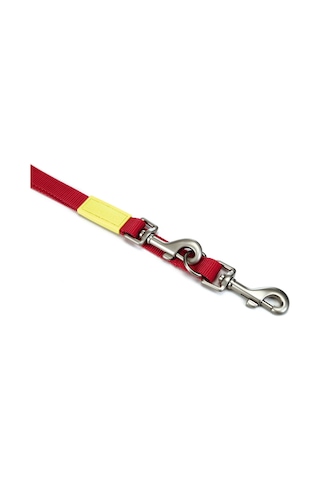 Beeztees Köpek Gezdirme Kayışı, Pembe, 200cm, 20mm Çok Renkli