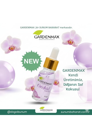 Buhurdanlık Esasnsı Orkide Orkide