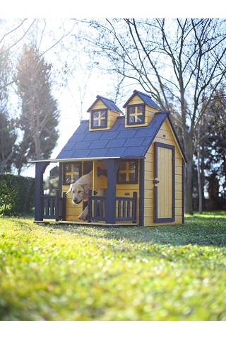 Mandu Ultra Lüks Ahşap Köpek Kulübesi Evi Gold Edition