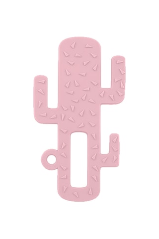 Oioi Kaktüs Diş Kaşıyıcı