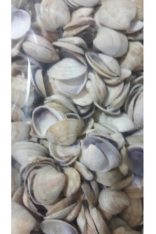 Emilysamy Deniz Kabuğu 500 G