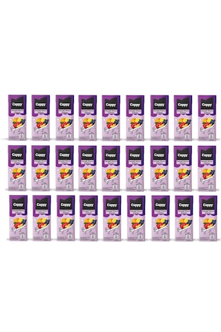 Cappy Karışık Meyve Nektarı 200 Ml X 27 Adet