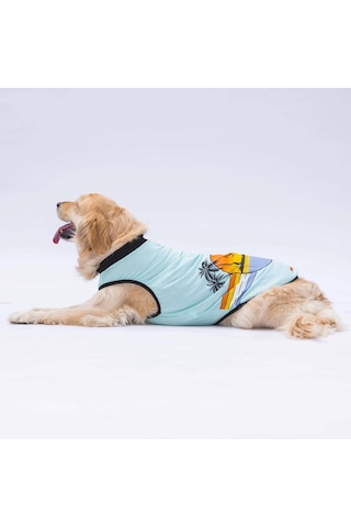 Pawstar Mint Sunrise Büyük Köpek Tişörtü Köpek Kıyafeti