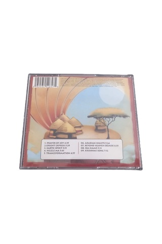 Global Village Cd Karunesh