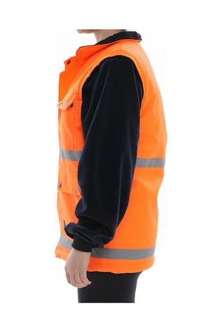 Turuncu Polarlı Mühendis Montu Turuncu