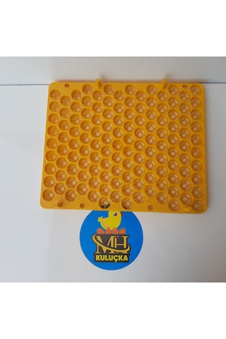 Bıldırcın Viyolü Kuluçka Makinesi Için 129 Yumurta 38x31