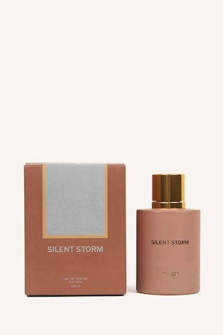 Defacto Erkek 100 ml Silent Storm Parfüm H0873AXNS