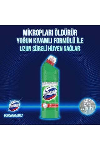 Domestos Çamaşır Suyu Dağ Esintisi 6 x 750 ML + Sünger 2'li