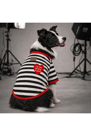 Alphadog Awesome Orta-büyük Irk Köpek T-shirtü