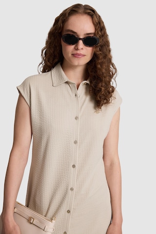 U.S. Polo Assn. Kadın Açık Haki Örme Elbise 50323469 Vr183 Acık Hakı