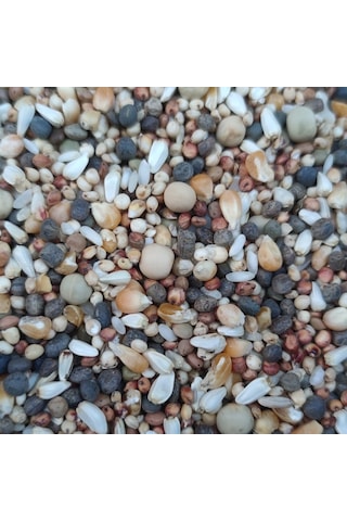 25kg Lüx Güverci̇n Yemi̇ -özel Üreti̇m