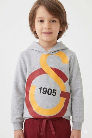 Galatasaray Lisanslı Büyük Logo Gri Çocuk Sweat