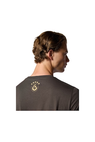 Gsstore Galatasaray 5 Yıldız Detaylı T-shirt E251399 Antrasit