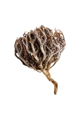 As Baharat Meryem Ana Otu 250 G