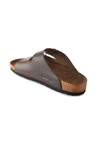 Slazenger LENS Erkek  Kahve Terlik