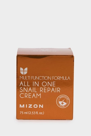 Defacto Mizon All In One Snail Repair Cream - Salyangoz Özlü Hepsi Bir Arada Bakım Kremi 75 g G7284AXNS