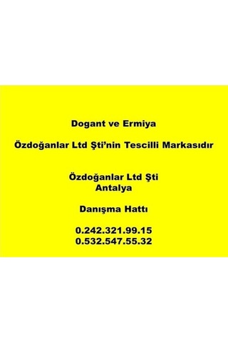 Ermiya Elbruz 12 Adet Klasik Melamin Servis Tabağı Beyaz 25 CM