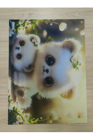 Todıklevakına Nem Emanetli Paspas 261504713 Beyaz