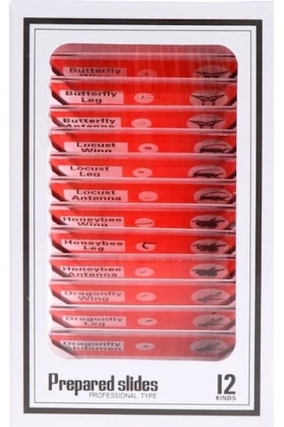 Ece Mikroskop Slayt Preparat Seti Başlangıç 12'li Böcekler