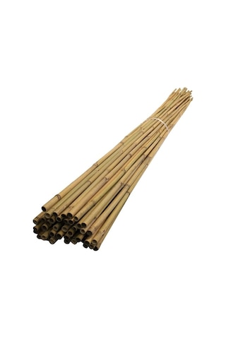 Bambu Çubuk Bitki Destek Çubuğu 10 Adet 20-22 Mm X 180 Cm
