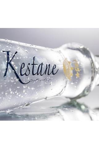Kestane Su Cam 24 x 330 ML