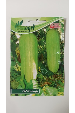 Bykurt Sunagri Lif Kabağı Tohumu - 5 Adet Doğal Lif Üretimi, Cilt Bakımı Ve Organik Temizlik 5 Adet