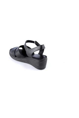 Dexter Dx465155-61 Kadın Sandalet Çok Renkli