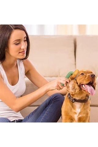 Büro Ev Evcil Hayvanı İçin Yeşil Plastik Çok Amaçlı Kedi Köpek Fırçası