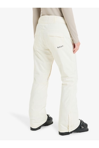 Roxy Backyard Kadın Kayak/snowboard Pantolonu-erjtp03299 Çok Renkli