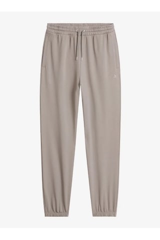 The North Face Nf0a8fdf-jk3 Essential Terry Simple Dome Relaxed Joggers Erkek Eşofman Altı Gri