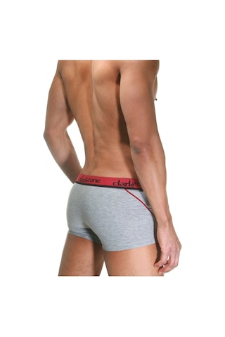 Darkzone Gri Erkek Boxer - Dzn3103