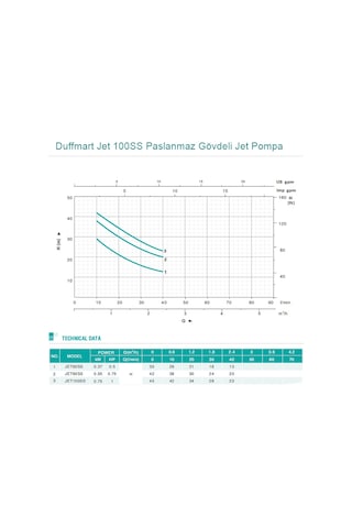 Duffmart Jet 100Ss Paslanmaz Gövdeli Jet Pompa
