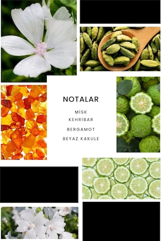 Ixora B316 Princess Kadın Parfüm EDP 100 ML