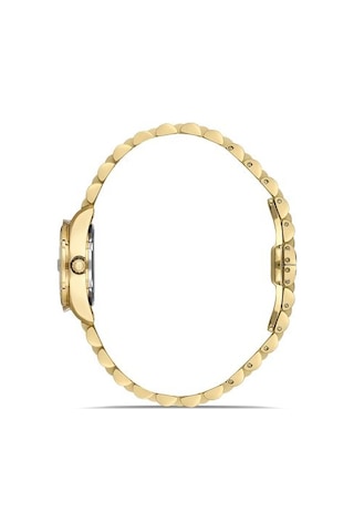 Ql156g-08sg Hislon Kol Saati 22 Mm / Gold Gri
