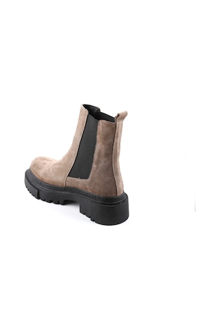 Dexter Tp22515-69 Renkli Çok Renkli