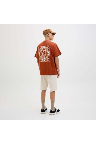 Jack&jones Jack Jones Şort Gordon Bradley Sweat Short Mid Noos Çok Renkli