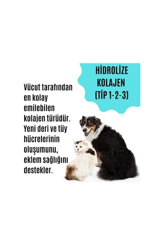Tüy Dökülmesini Engelleyen Kedi Ve Köpekler İçin Tüy & Deri Güçlendirici Özel Destek Ürünü