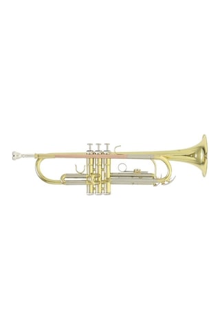 Roy Benson Tr-202 Trompet