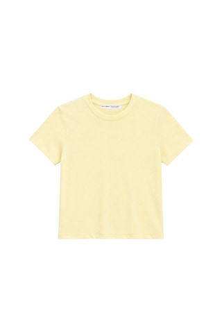 Mixray 2100 Kadın Slim Fit Bisiklet Yaka Soft Basic T-shirt Sarı
