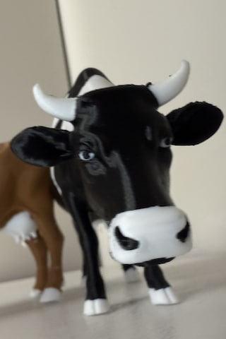 Çiftlik Hayvanı İnek Renkli 3d