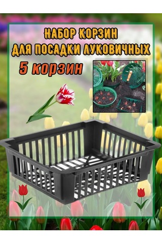 Domdacaogorod Soğanlı Bitkiler Ve Kelebek Yetiştirme Sepeti 263098583