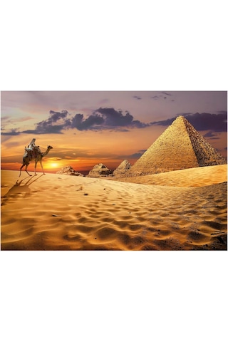 Educa 1000 Parça Çöldeki Deve - 19643 - Camel In The Desert