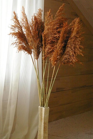 Alyones 8'li Büyük Demet Pampas Turuncu 100cm Boyunda Diğer