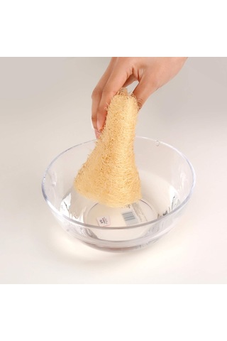 Ham Kabak Lifi 50-70 Cm Doğal Peeling Süngeri
